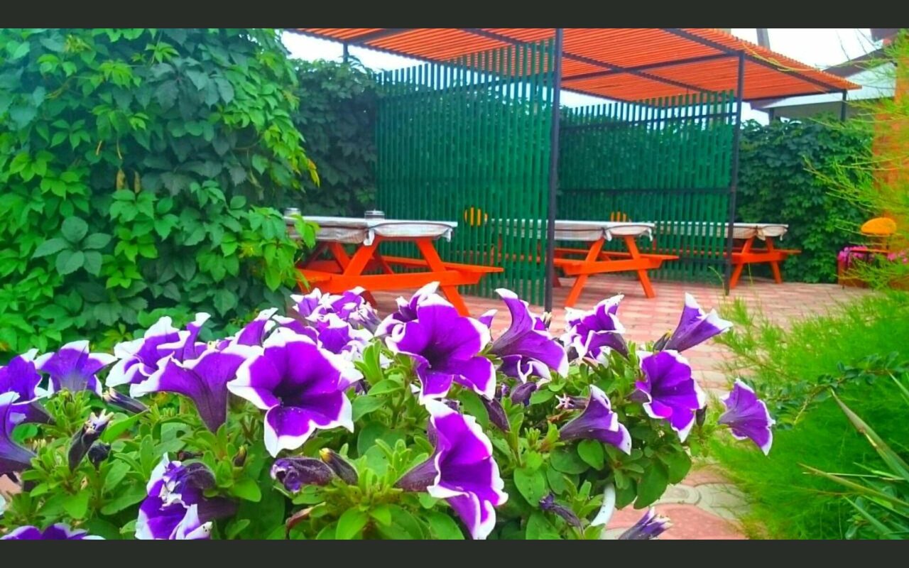 Гостиница Азовская Русалочка Должанская-68