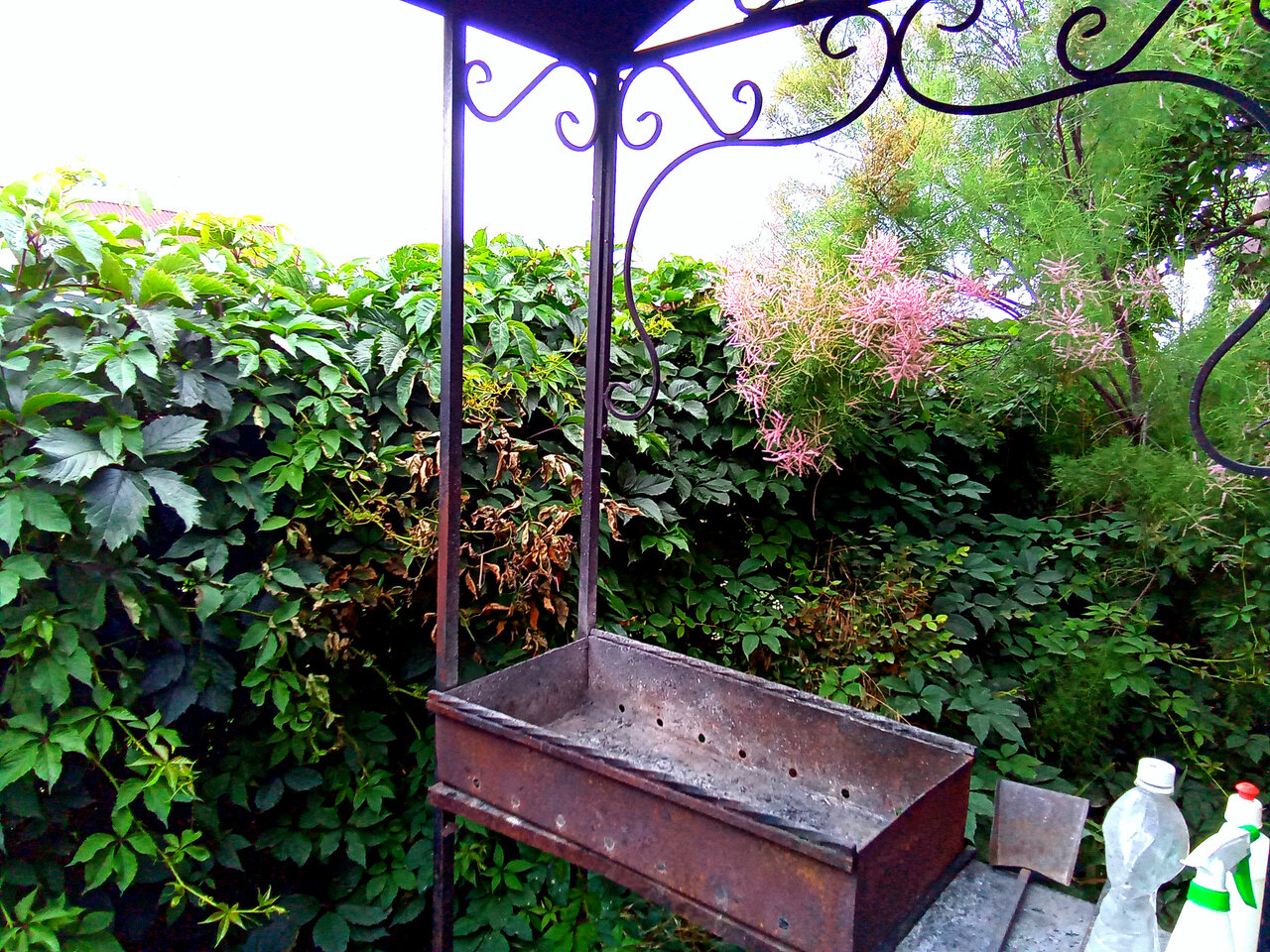 Гостиница Азовская Русалочка Должанская-101