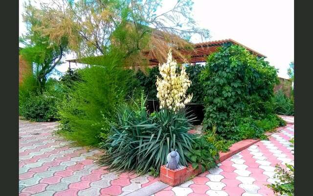 Гостиница Азовская Русалочка Должанская-87