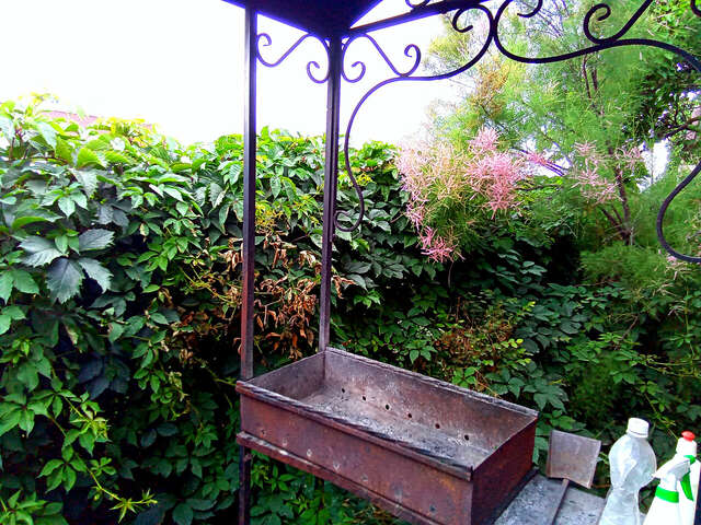 Гостиница Азовская Русалочка Должанская-100